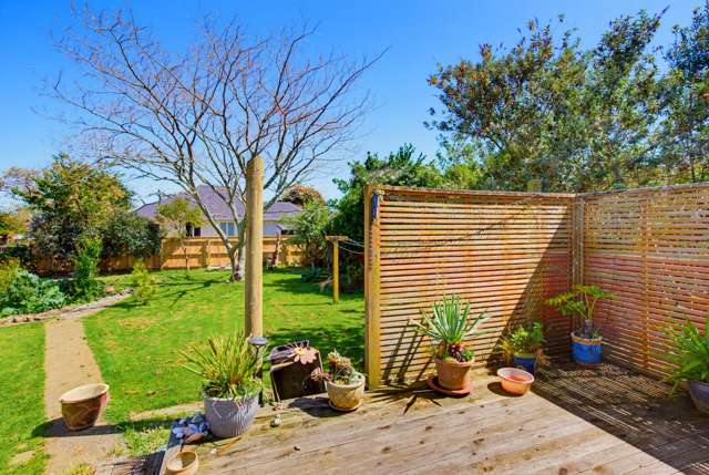 35 Bowen Street Levin_3