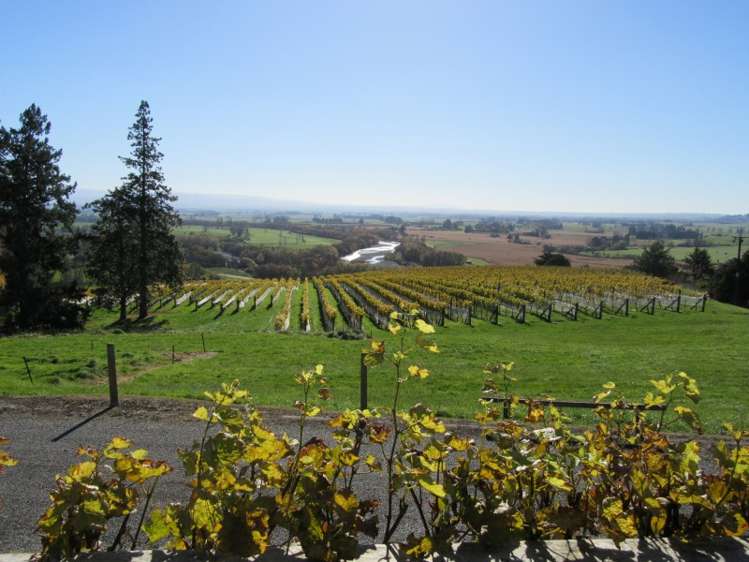 208 Pukeora Scenic Road Waipukurau and Surrounds_23