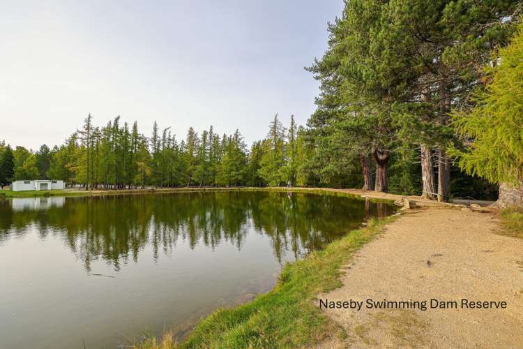 8 Swimming Dam Road Naseby_46