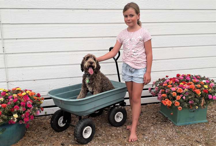 869 Woodcocks Road Kaipara Flats_8