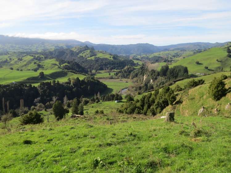 1862 Taringamotu Road Taringamotu_7