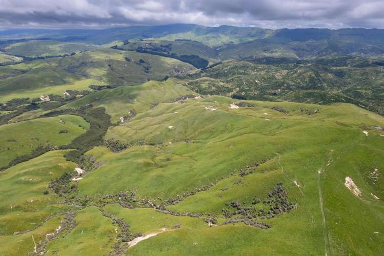 83 Towai Road Dannevirke_4