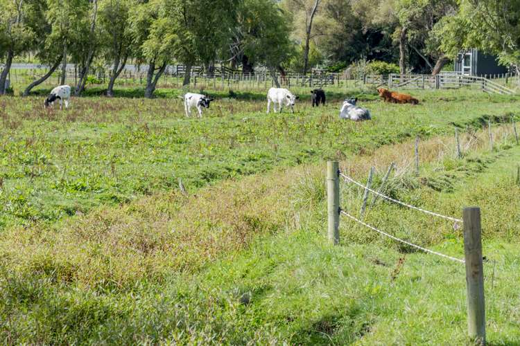 97 Te Horo Beach Road Te Horo_7