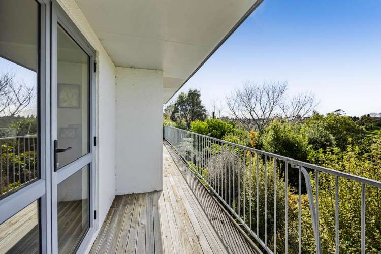 217 Carrington Street Vogeltown_14