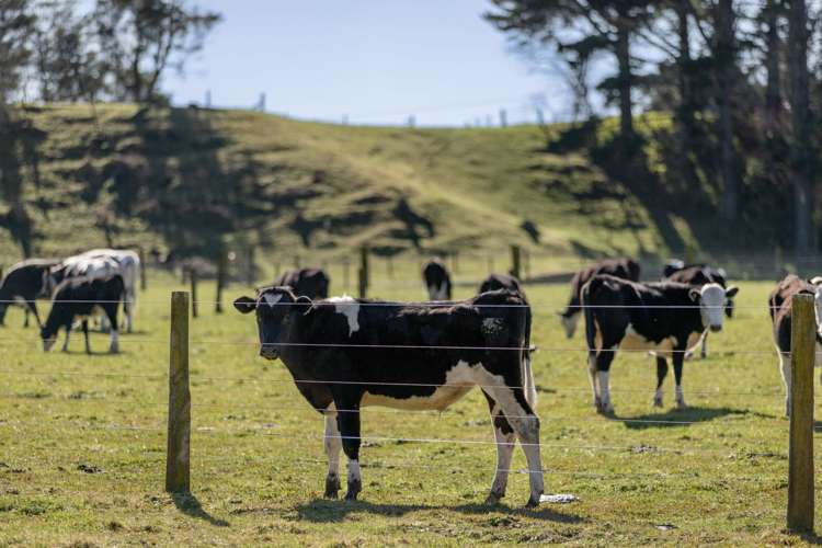 1255 Braemar Road Whakatane_28