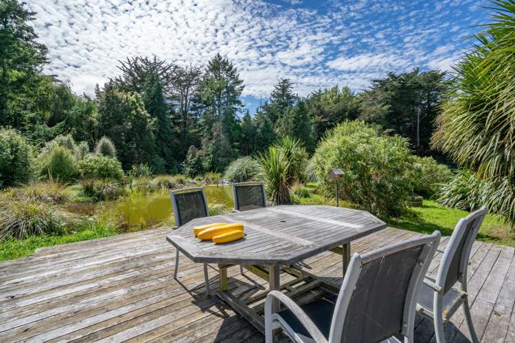 240 Forestry Road Ashley_22