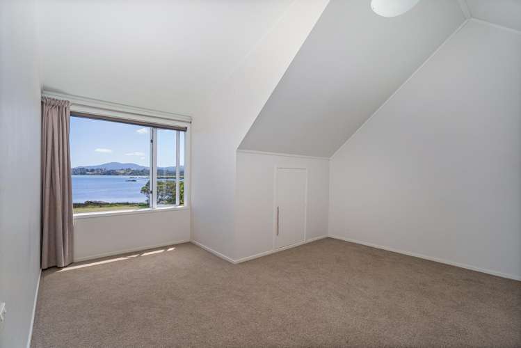 1629 SH 25, Manaia Road Coromandel_35