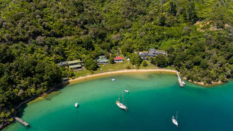 2121 Queen Charlotte Drive Anakiwa and Surrounds_17