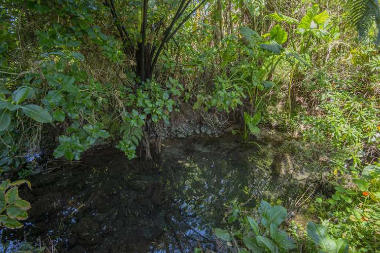 23a Crawford Crescent Kamo_18