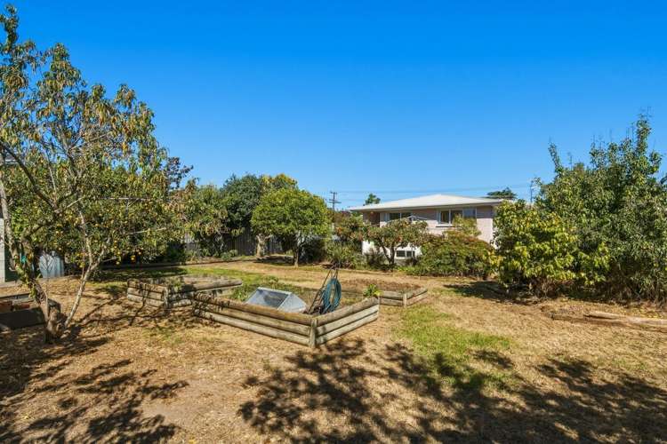 189 Redwood Street Witherlea_18