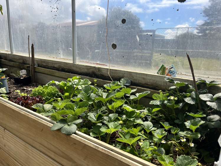 109 Havelock Street Riverton_13