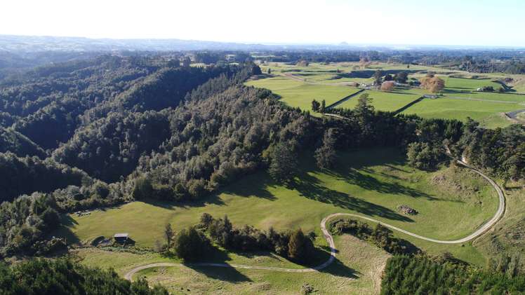 758 Mclaren Falls Road Kaimai_5