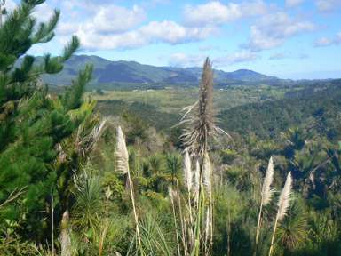340 Duddy Road_1