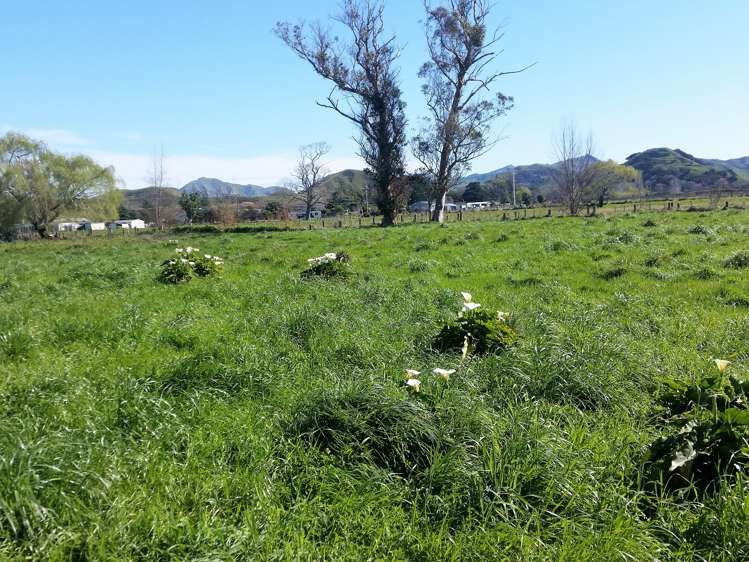 7 Cook Street Tolaga Bay_3