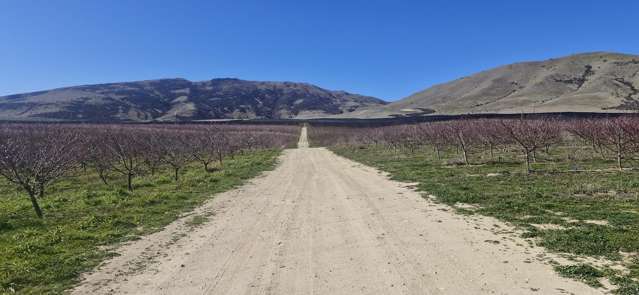 159 Thomson Gorge Road Cromwell_3