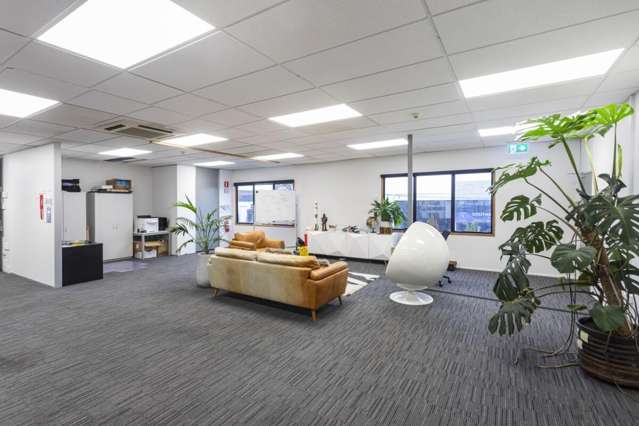 23 Carlyle Street Sydenham_3