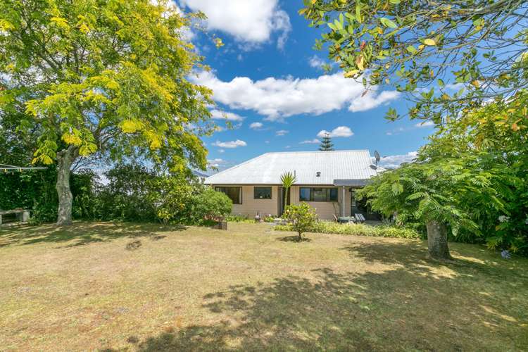 746 Picquet Hill Road Te Awamutu_18