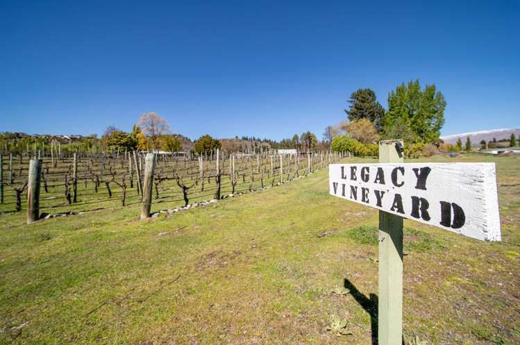 113 Earnscleugh Road Alexandra_14