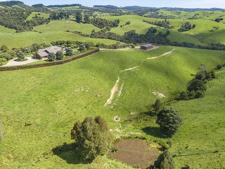 306 Shanks Road Helensville_16