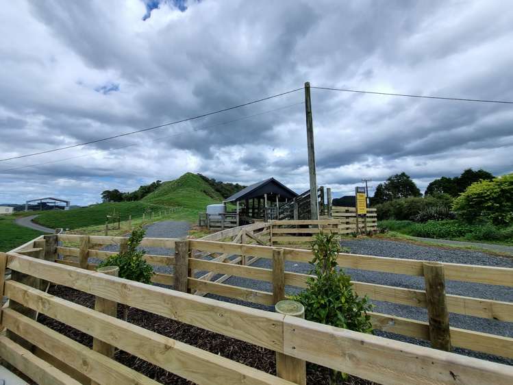 165 Kereru Road Glen Massey_10