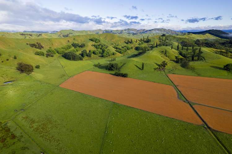 Lavenham Road Waituhi_14