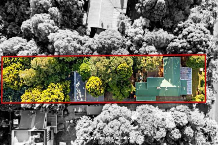 38 Turanga Road Henderson Valley_18