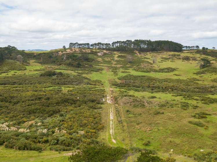455 Mt Wesley Coast Road Dargaville_16