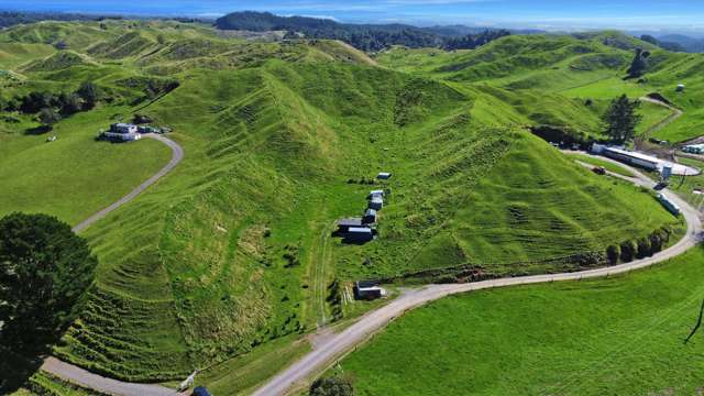 23 Iratumoana Road Pikowai_4