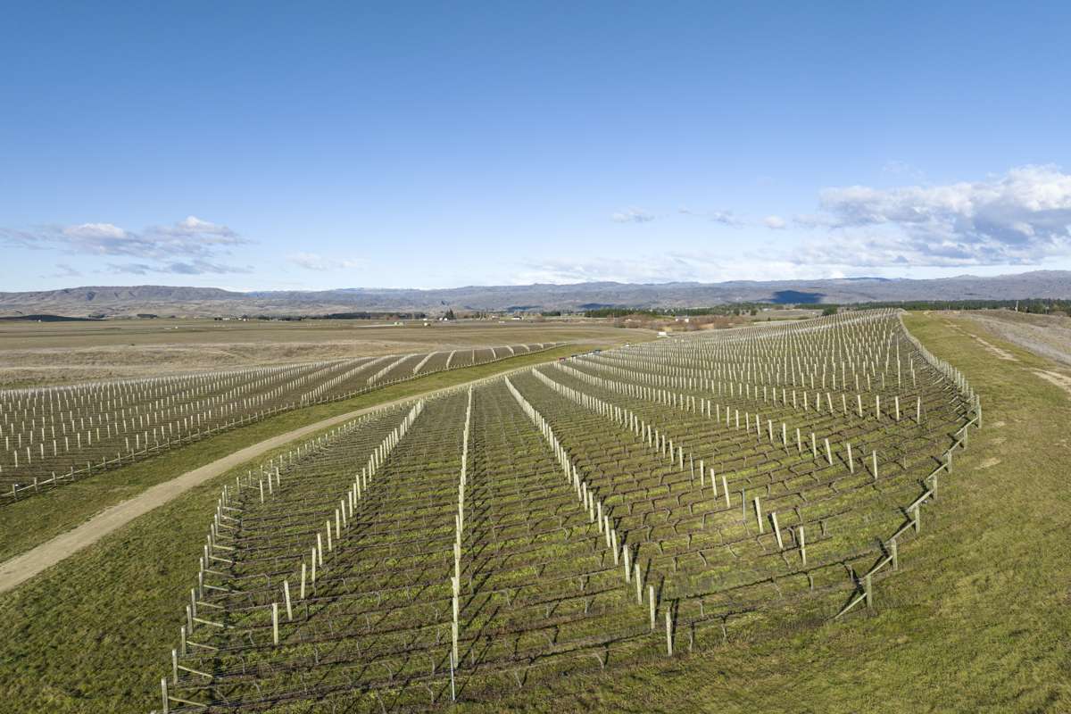 Lot 35 McArthur Road_5