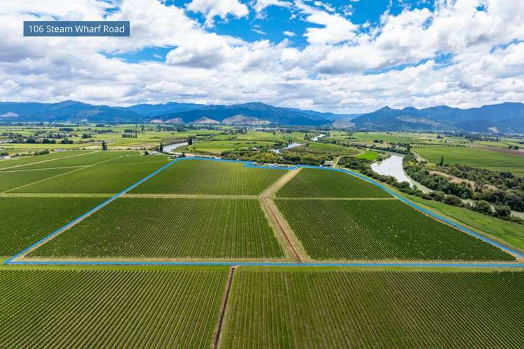 92 Lower Wairau Road Grovetown_3