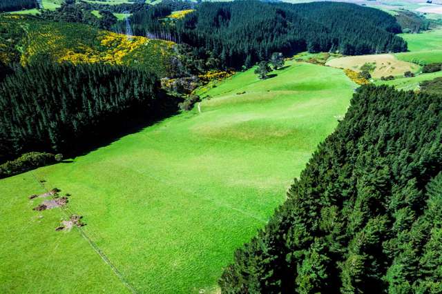 Waihola Hill Road Clarendon_4