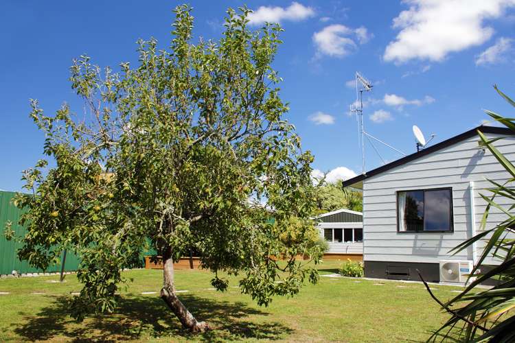 29 Mangamutu Road Pahiatua_11