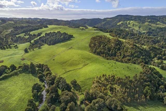 Pioneering Northland Part I