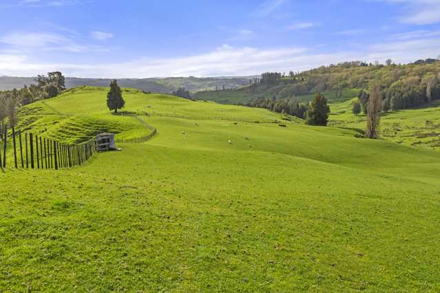 Mangatea Road Te Kuiti_2