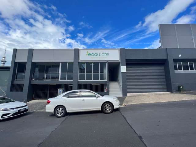45 Ireland Street Freemans Bay_4