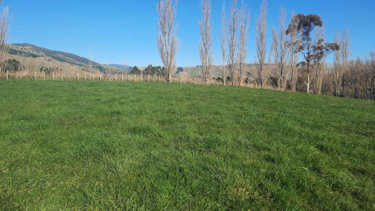 3 Williams Road Tokomaru_11