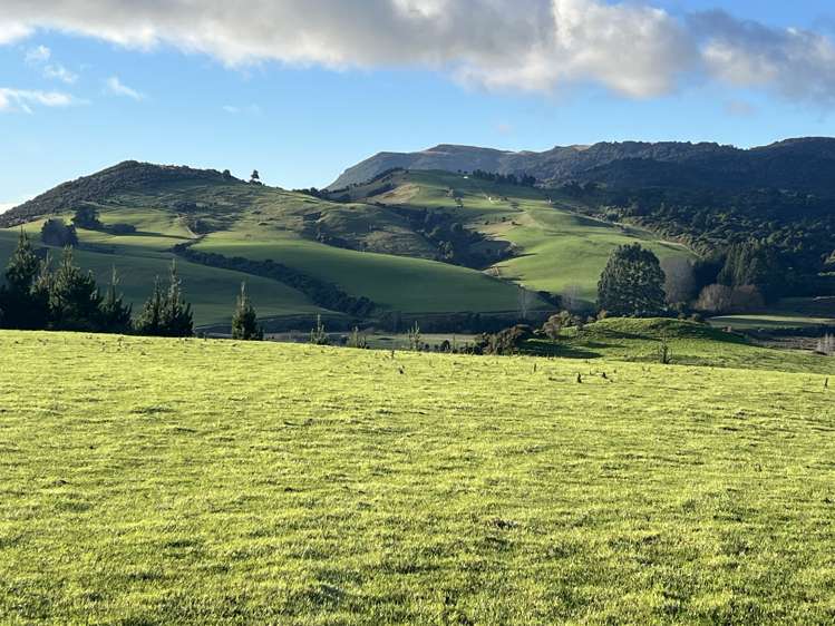 295 Stirling Road Winton Surrounds_10