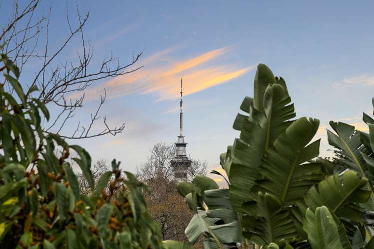 18 Aorere Street Parnell_20