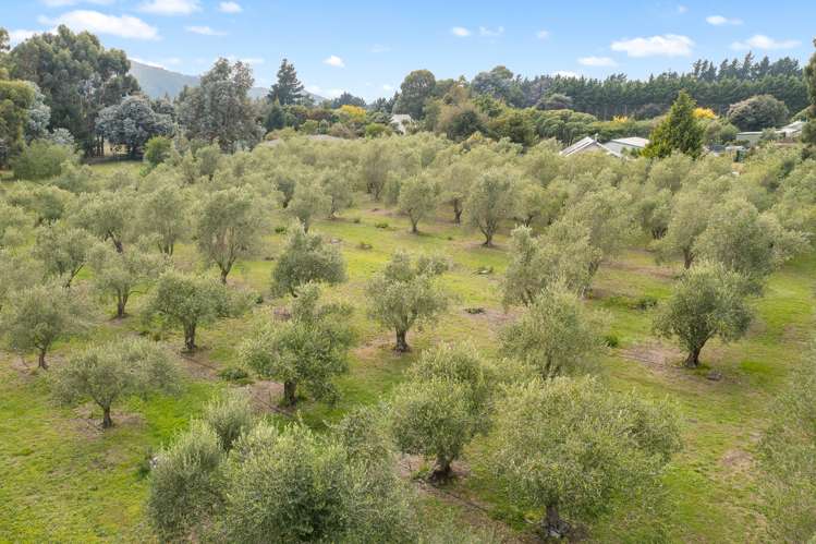 14 Beatrice Street Rarangi_13