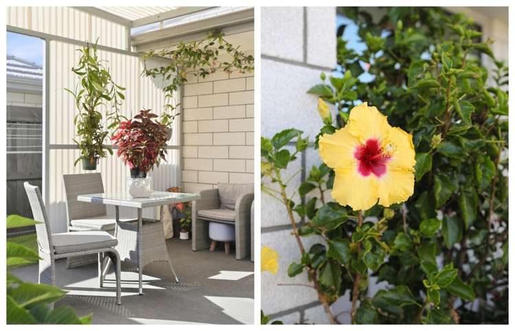 5 Lance Way Papamoa_12