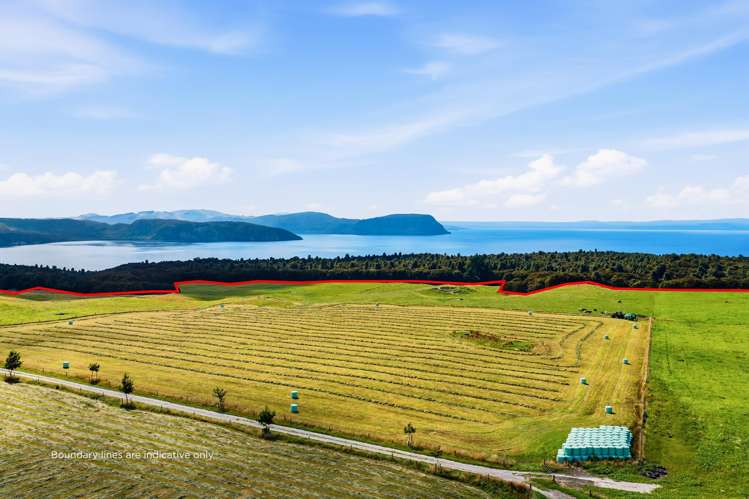 550 Puketapu Road Marotiri_11