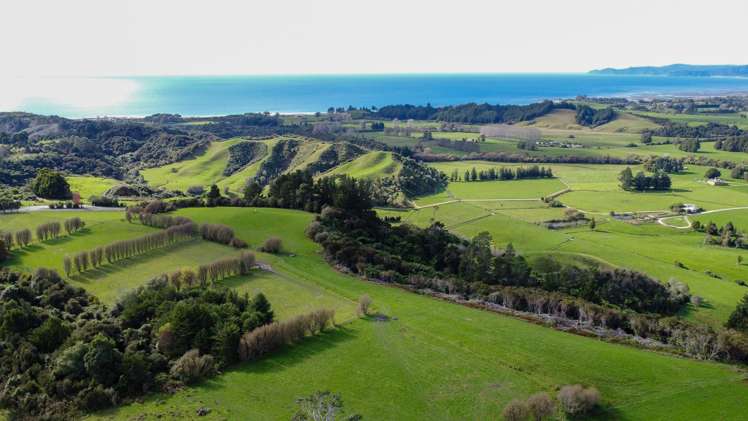 915 Takaka-Collingwood Highway_0