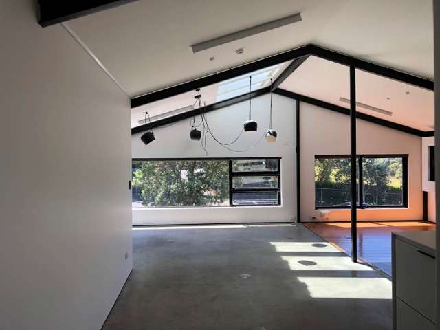 60 College Hill Freemans Bay_4