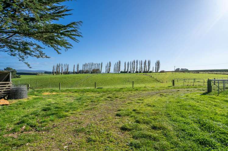 597 Limestone Plains Road Isla Bank_20