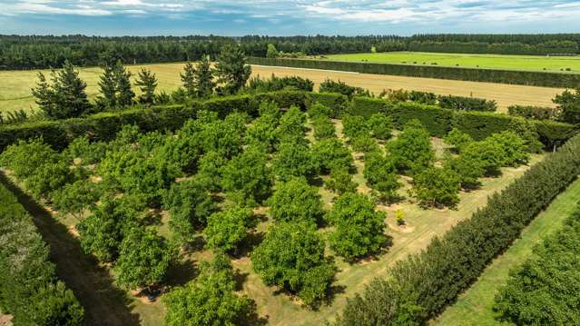 973 Hoskyns Road West Melton_4