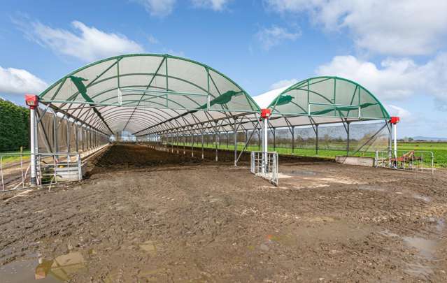 211 Maiseys Road Waharoa_2