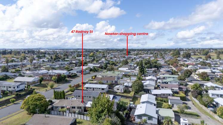 47 Rodney Street Nawton_17