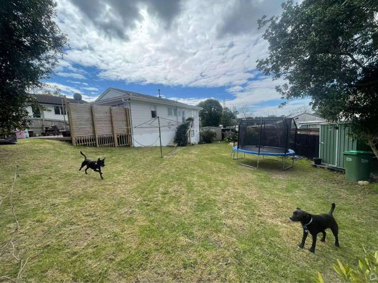 24 Meilland Place Glen Eden_14