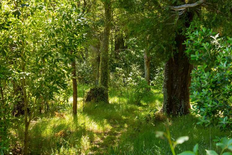 180 Underhill Road Greytown_39