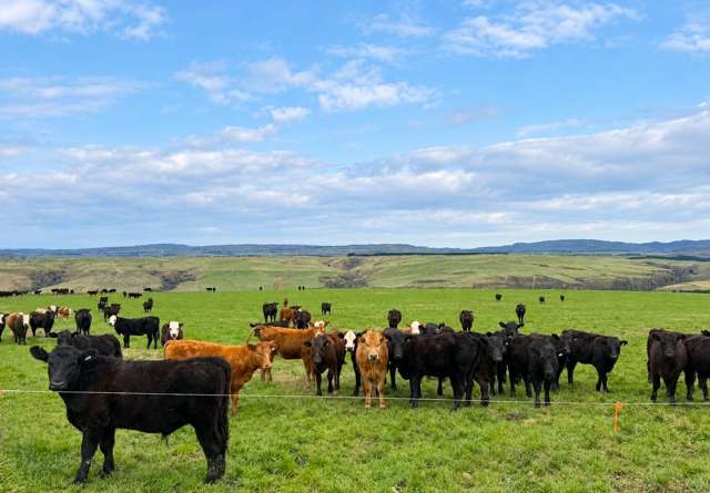 865 Wallaces Ford Road Clarks Junction_3
